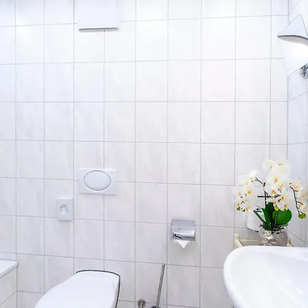 Hotel Plaza Foehr Am Bodensee 4*