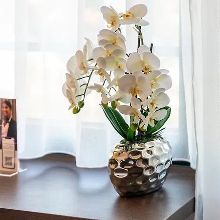 Hotel Plaza Foehr Am Bodensee FDH