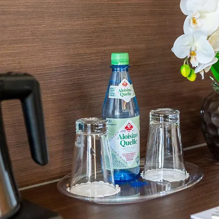 Plaza Foehr Am Bodensee Hotel 4*