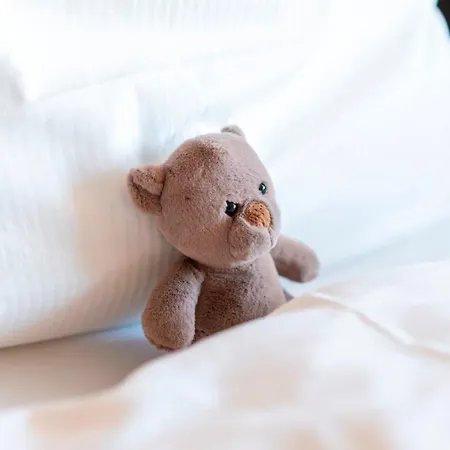 Ξενοδοχείο Plaza Foehr Am Bodensee Φριντρισχάφεν