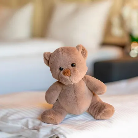 Hotel Plaza Foehr Am Bodensee