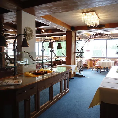 Hotel Plaza Föhr Am Bodensee Friedrichshafen