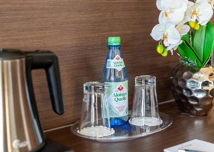 Plaza Foehr Am Bodensee Hotel 4*