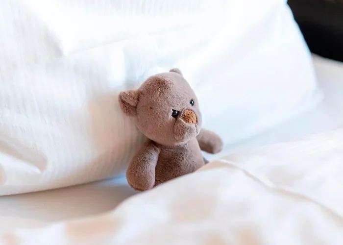 Hotel Plaza Foehr Am Bodensee Friedrichshafen