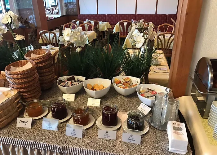 Hotel Plaza Foehr Am Bodensee 4*